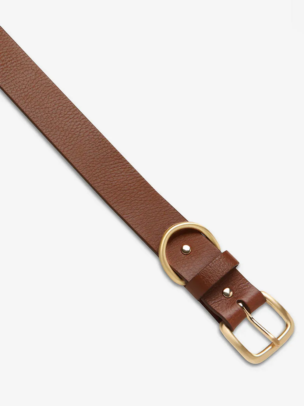 STATUS ANXIETY DISARM BELT