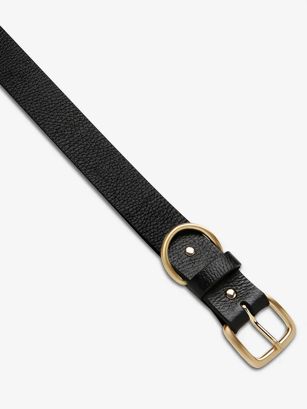 STATUS ANXIETY DISARM BELT